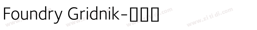 Foundry Gridnik字体转换